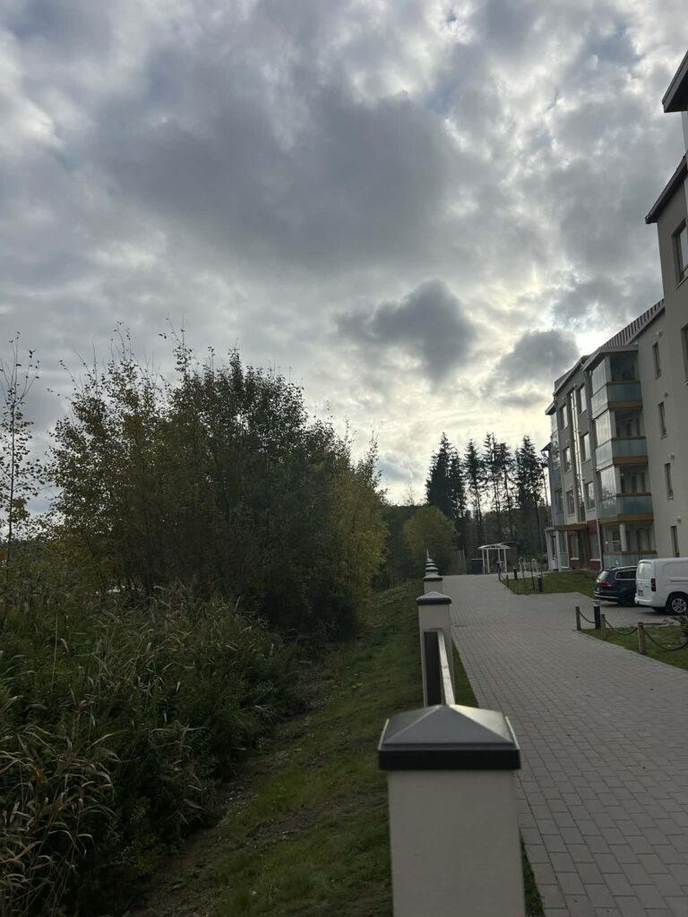 d7318d16 ab0c 4ea3 86f9 25a738d9040b